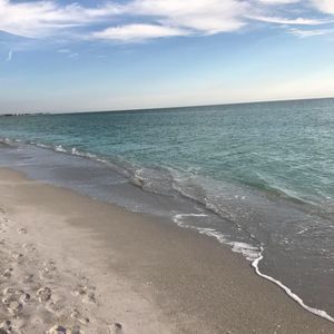 Meet your Posher, Adele